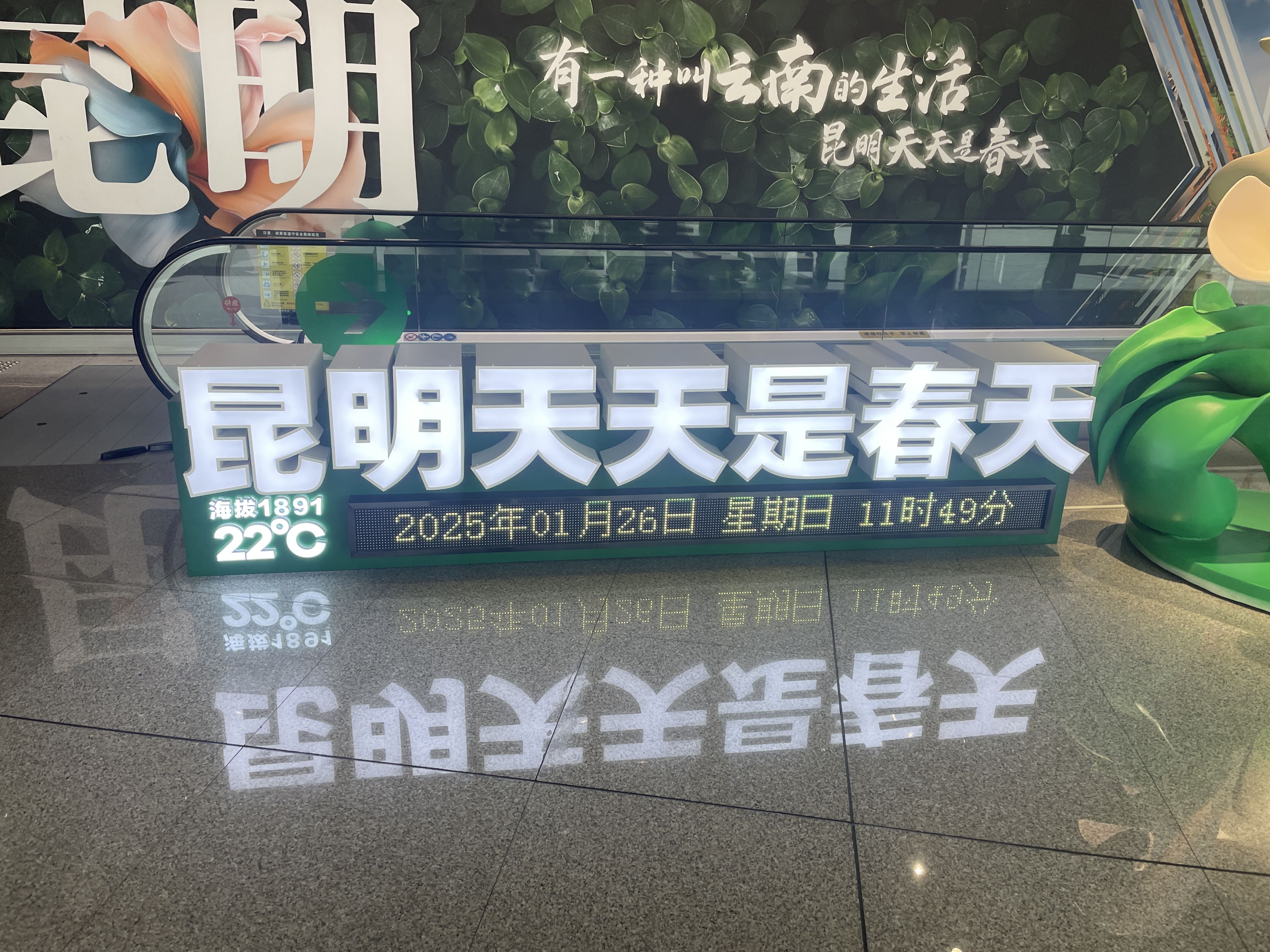 昆明永远是春天